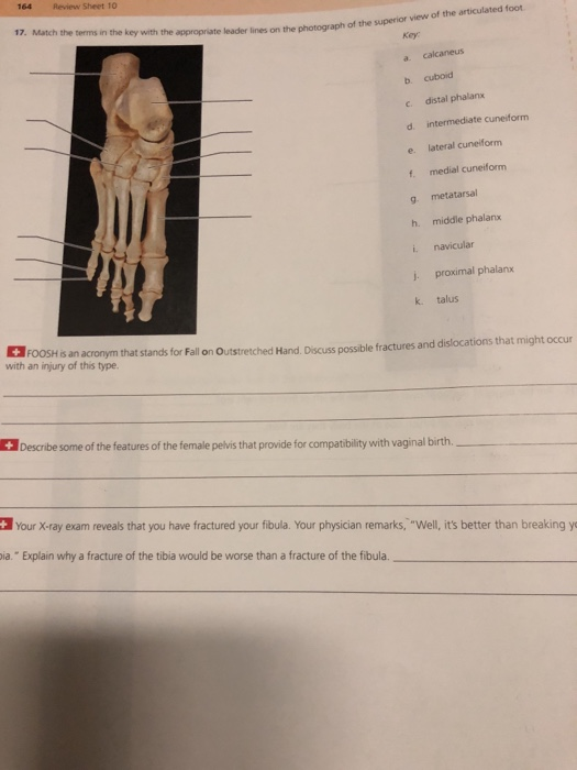 Anatomy And Physiology Archive 