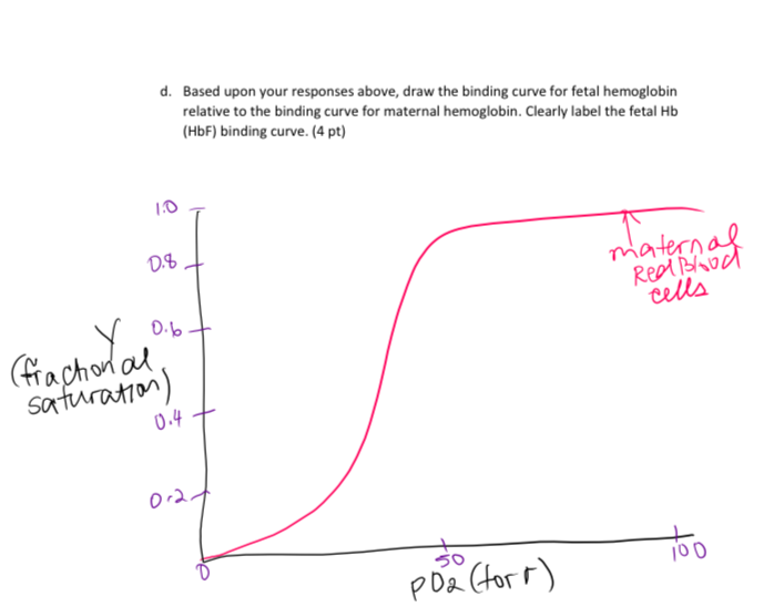 Solved Fetal hemoglobin (HbF) is composed of two a and two y | Chegg.com