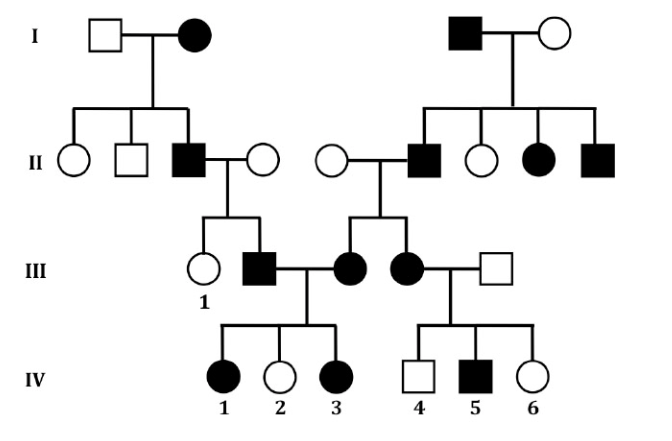 Solved Below is a pedigree for a family that is | Chegg.com