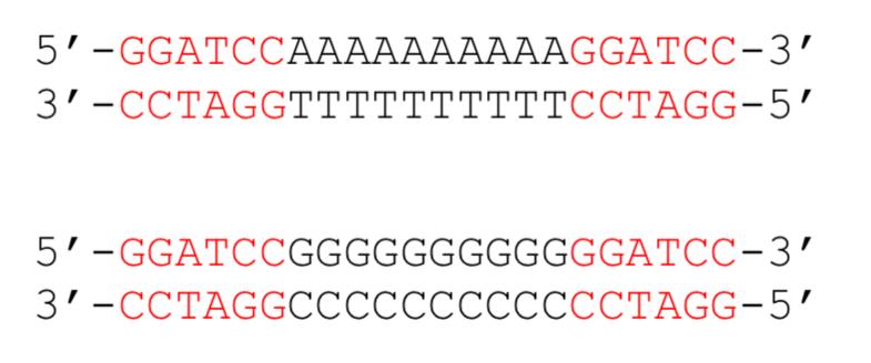 Solved Draw 3 different circular ligation products from the | Chegg.com