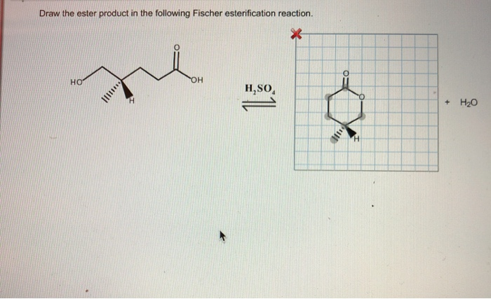Solved Draw the ester product in the following Fischer | Chegg.com
