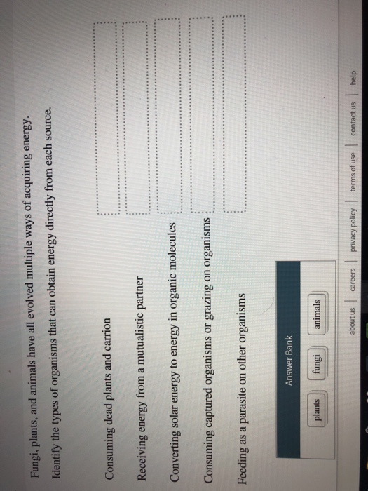 Solved Fungi, plants, and animals have all evolved multiple | Chegg.com