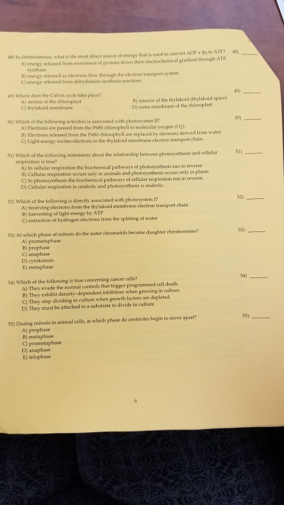 Solved ) In chemiosmosis what is the most direct source of | Chegg.com