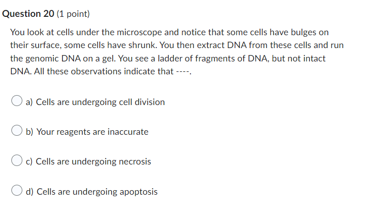 Solved You look at cells under the microscope and notice | Chegg.com