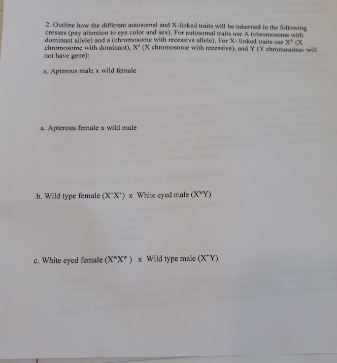 Solved 2. Outline how the different autosomal and X-linked | Chegg.com