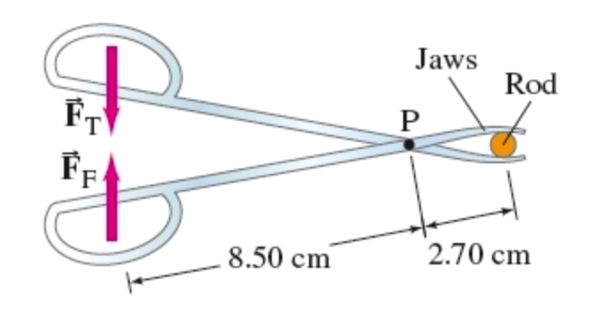 Solved A pair of forceps used to hold a thin plastic rod | Chegg.com