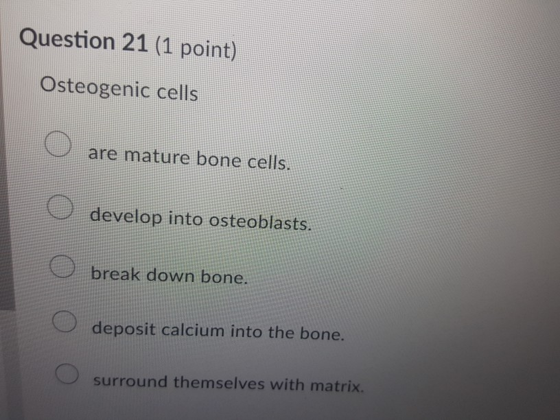 Solved Question 20 (1 point) osteoprogenitor cells. | Chegg.com