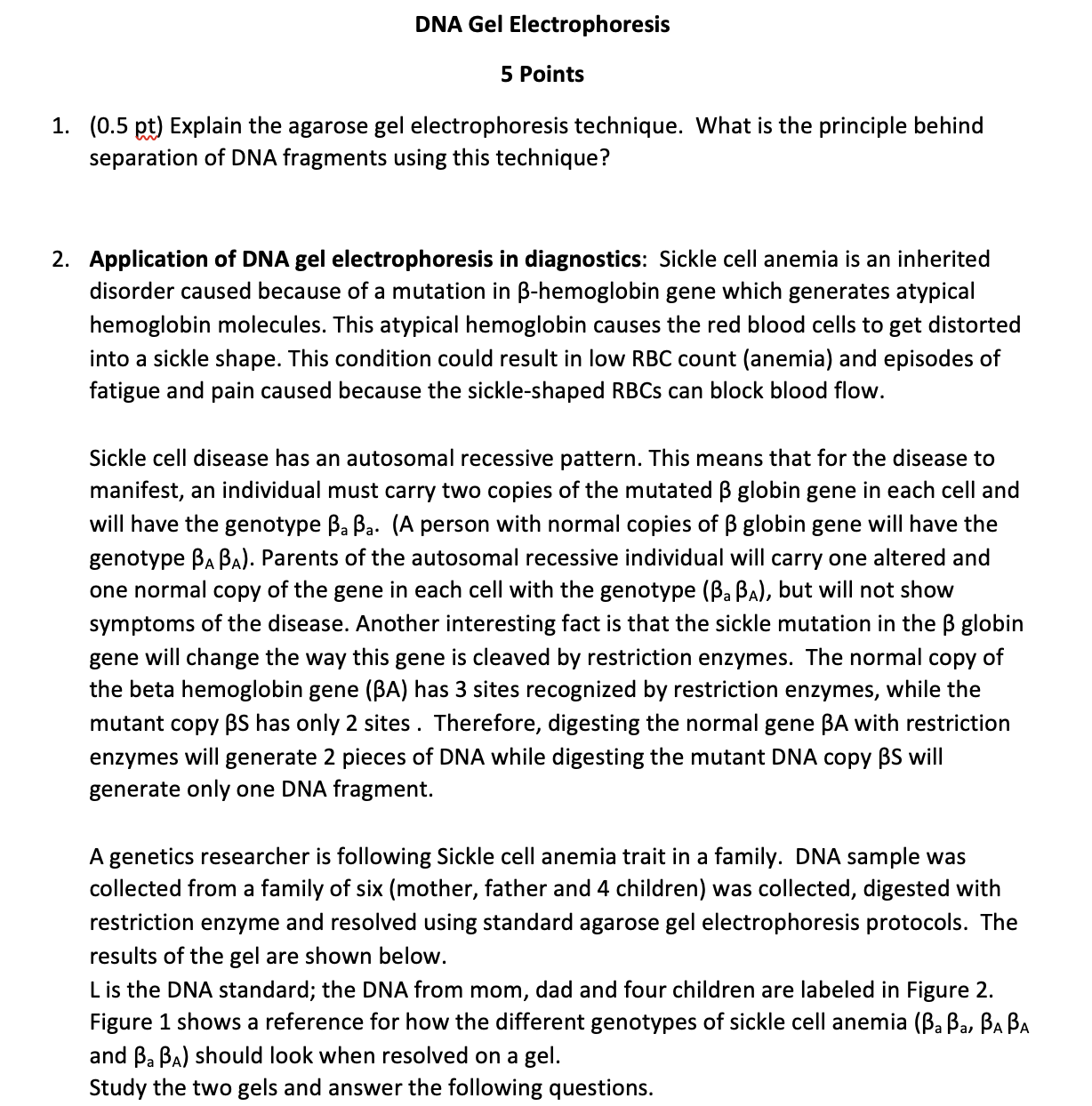 Solved DNA Gel Electrophoresis 5 Points 1. (0.5 pt) Explain | Chegg.com