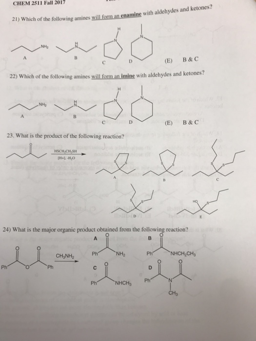 Solved CHEM 2511 Fall 2017 21) Which of the following amines | Chegg.com