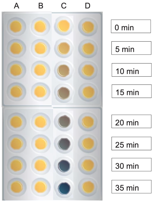 Solved Measurement of Starch Synthesis Introduction All | Chegg.com
