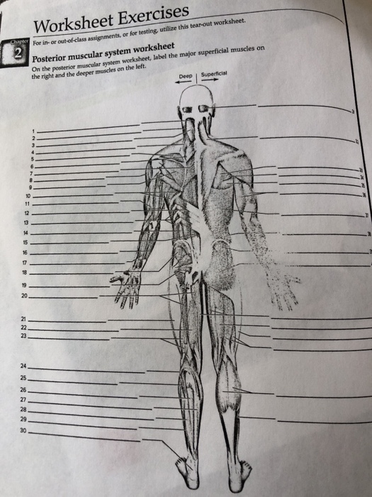 solved-worksheet-exercises-for-in-or-out-of-class-chegg