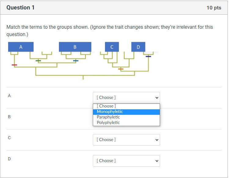 Solved Question 1 10 pts Match the terms to the groups | Chegg.com
