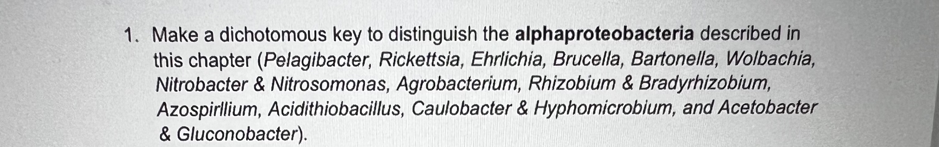 Make a dichotomous key to distinguish the alphaproteobacteria described in this chapter (Pelagibacter, Rickettsia, Ehrlichia,