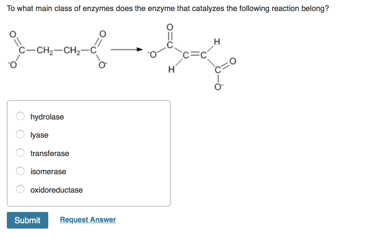Solved To what main class of enzymes does the enzyme that | Chegg.com