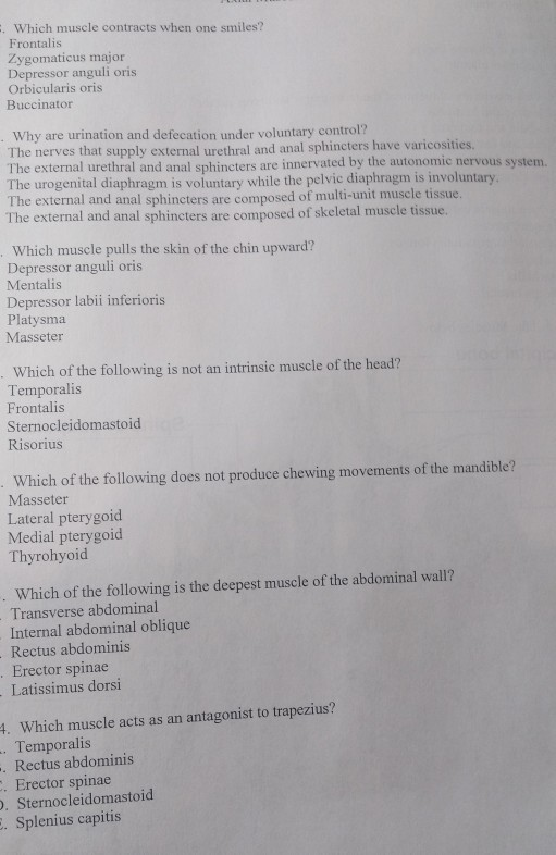 Solved . Which muscle contracts when one smiles Frontalis Chegg