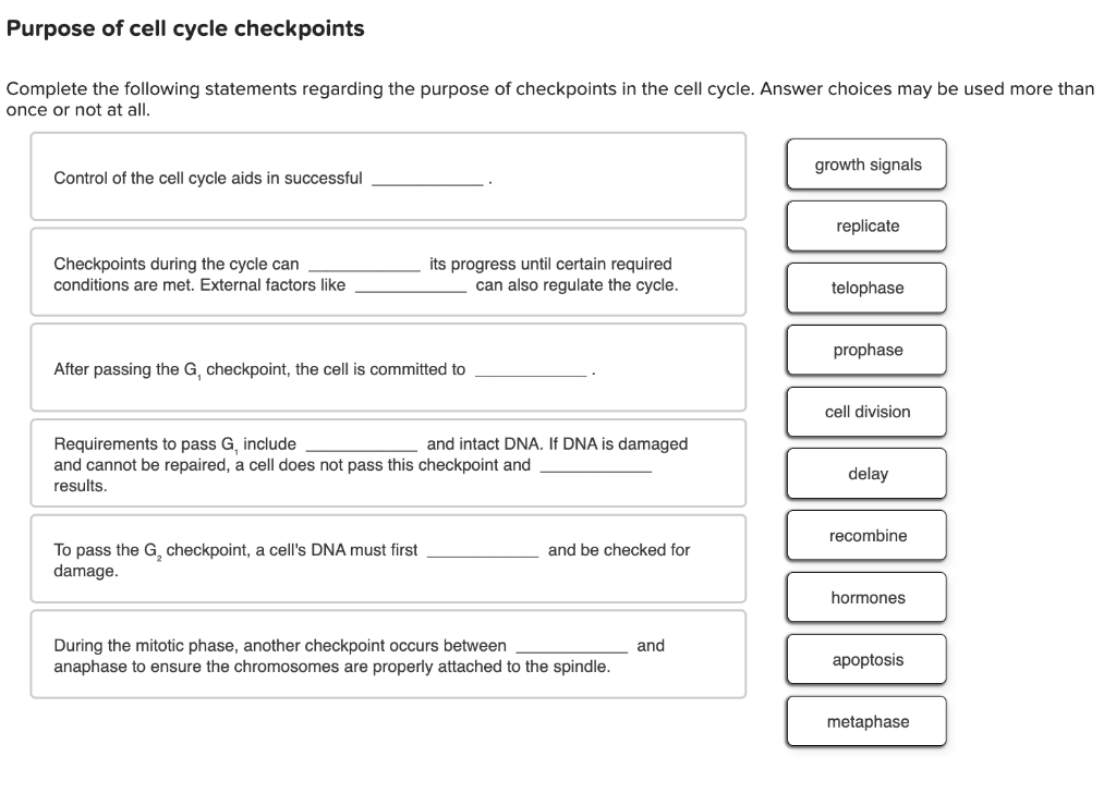 What Is The Purpose Of Checkpoints In The Cell Cycle Answer Key