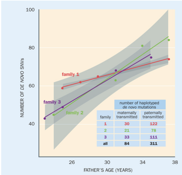 Solved Indicate how to graph supports: - The germline | Chegg.com
