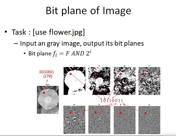 Solved Bit plane of Image Task [use flower.jpg] - Input an | Chegg.com