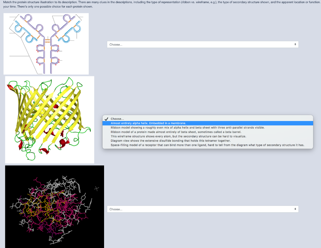 Solved Match the protein structure illustration to its | Chegg.com