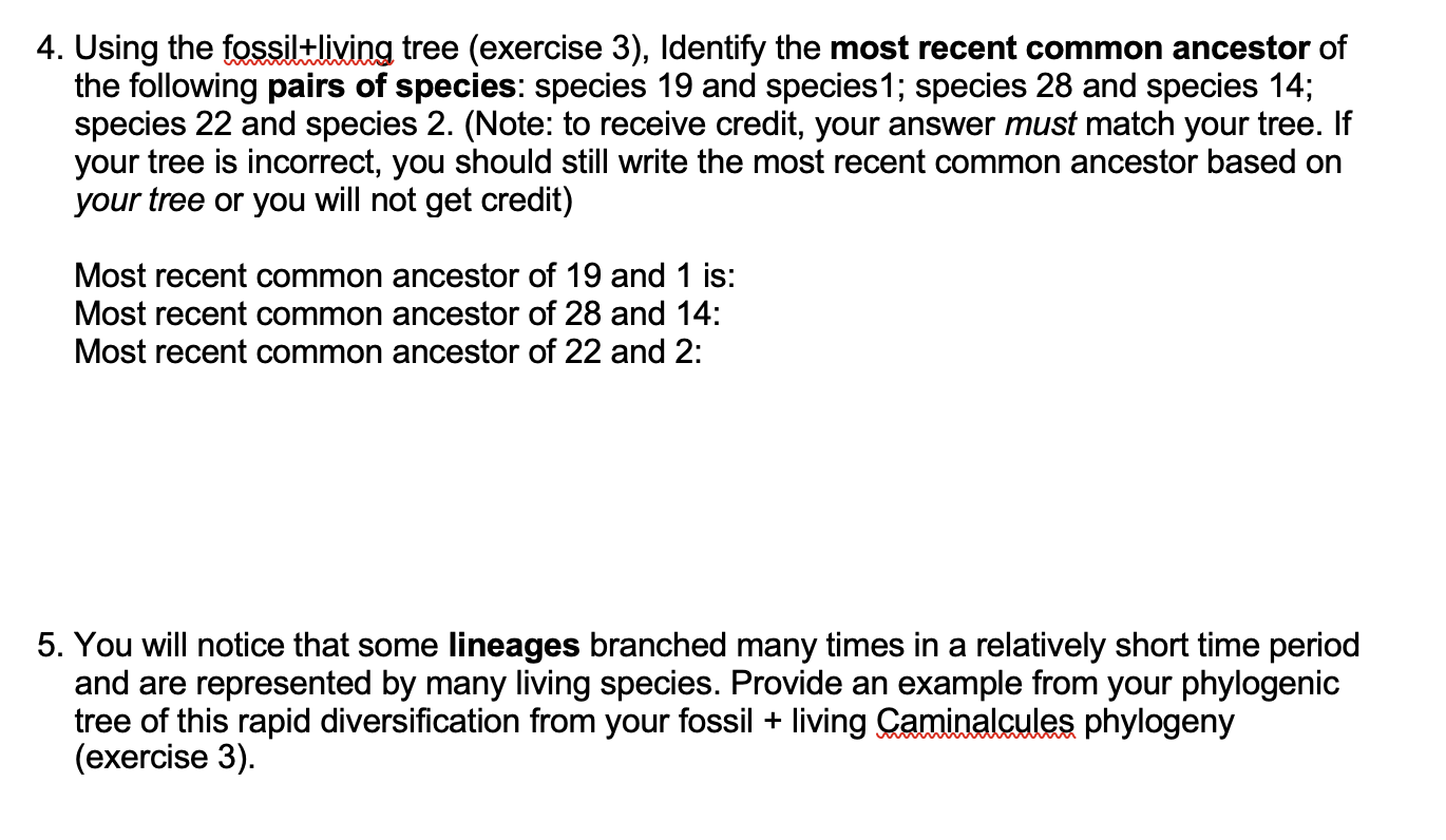 I have attached my answer from Exercise 1, 2, and 3 | Chegg.com