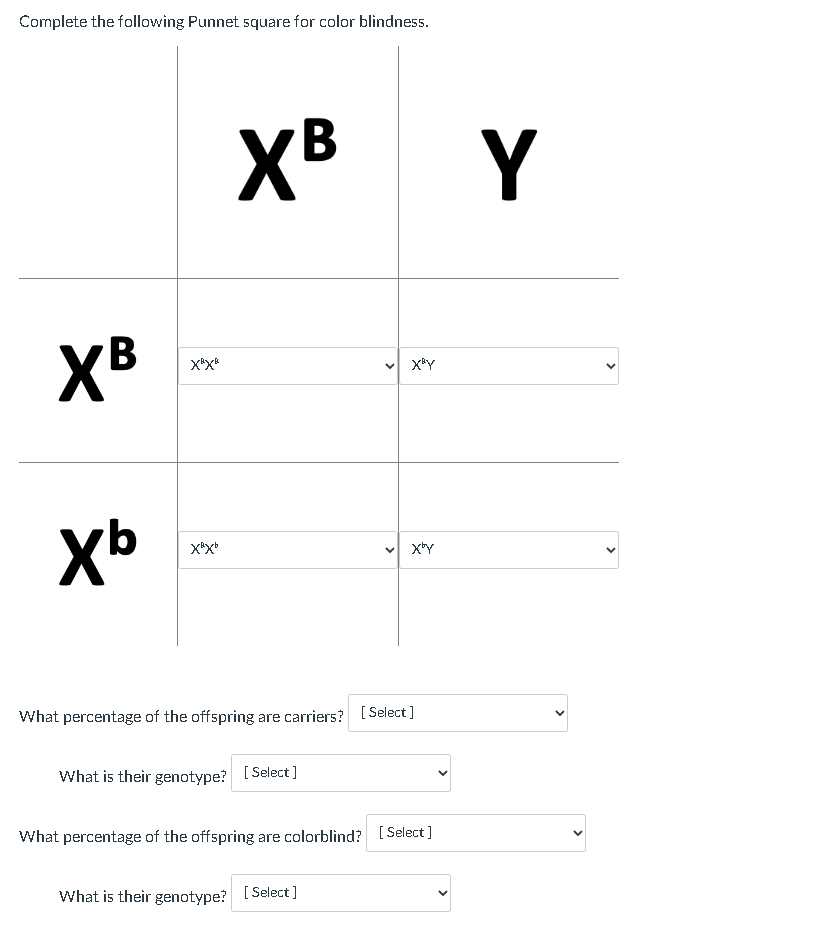 Solved Complete the following Punnet square for color | Chegg.com