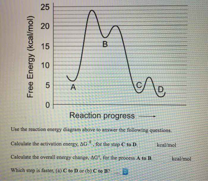 Solved Use the reaction energy diagram above to answer the | Chegg.com