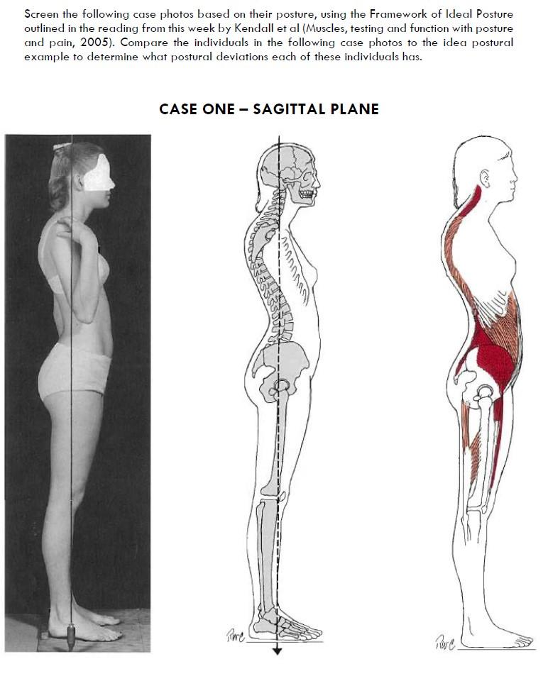 Solved Screen the following case photos based on their