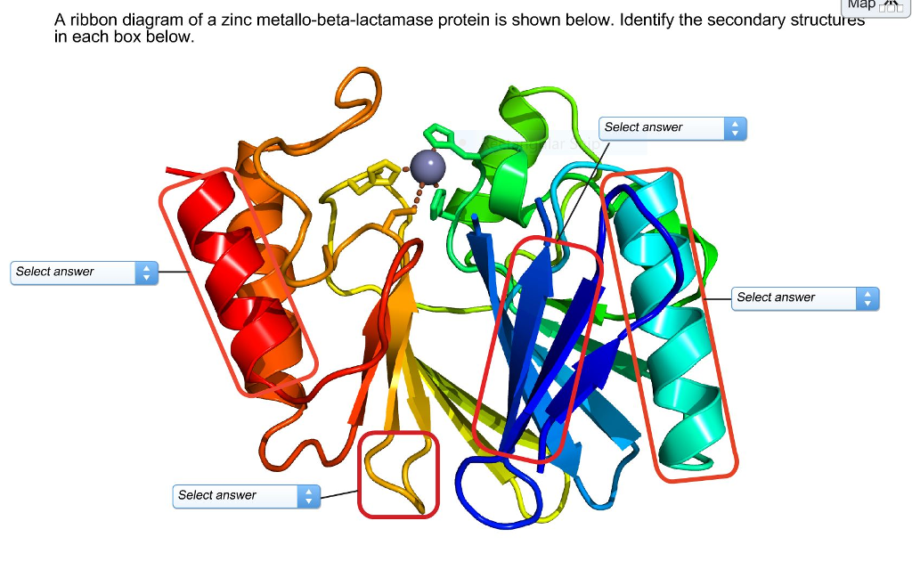 download secondary structure of protein
