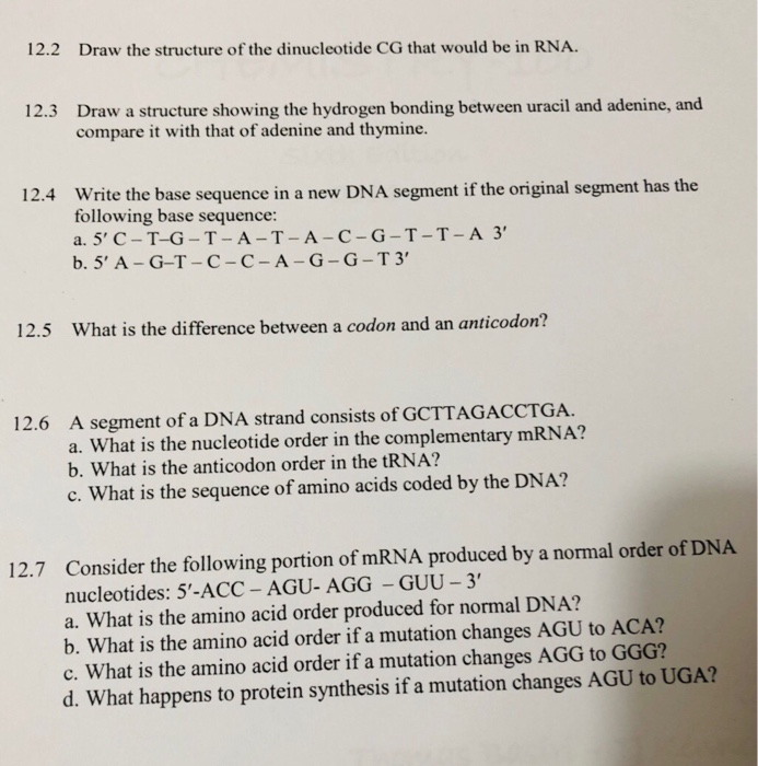 Solved 12.2 Draw the structure of the dinucleotide CG that | Chegg.com