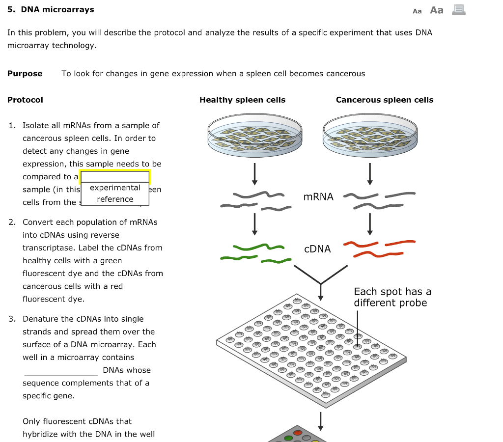 List 92+ Pictures What Colors Are Used In A Dna Microarray Updated