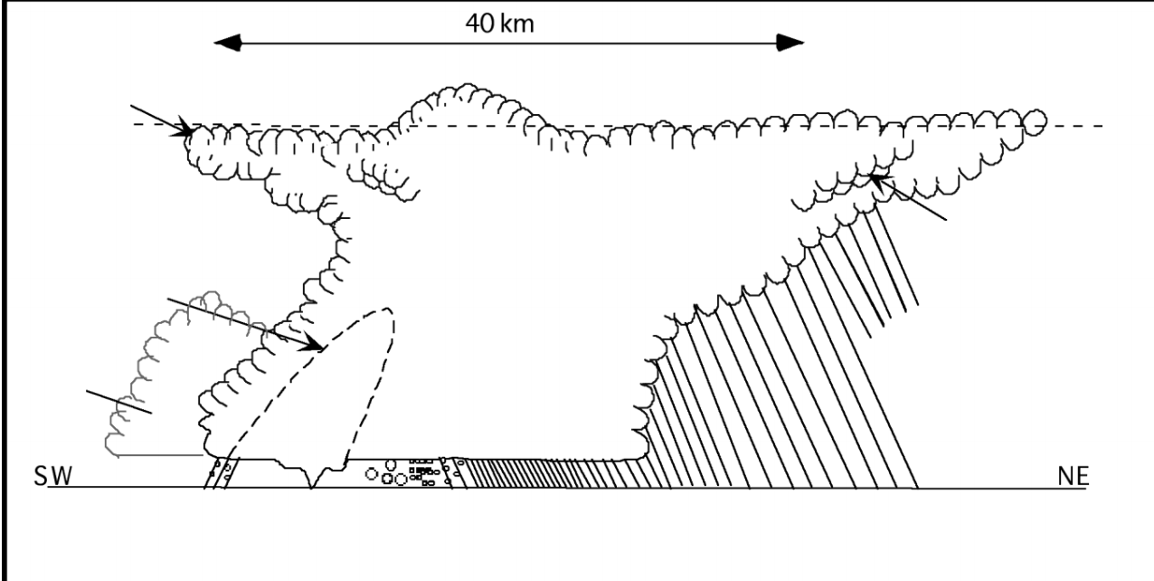 Solved Draw several arrows to indicate the location of the