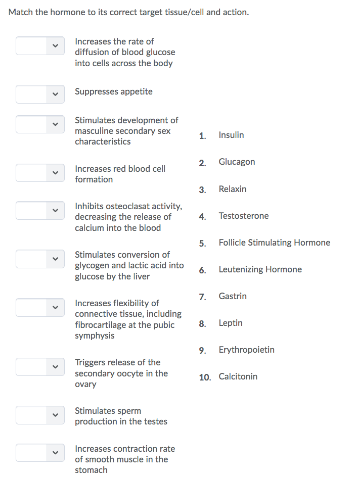 Solved Match The Hormone To Its Correct Target Tissuecell 