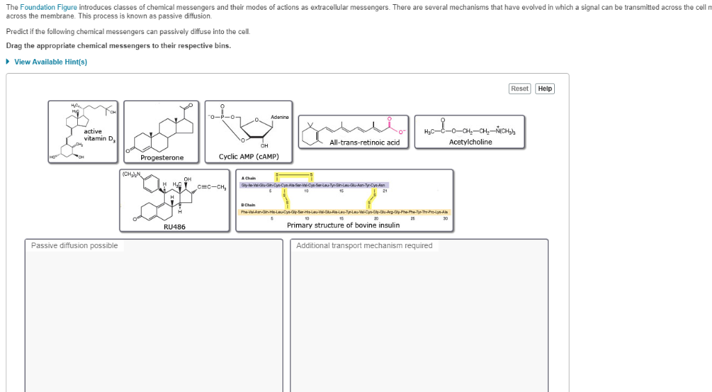 Solved The Foundation Figure introduces classes of chemical