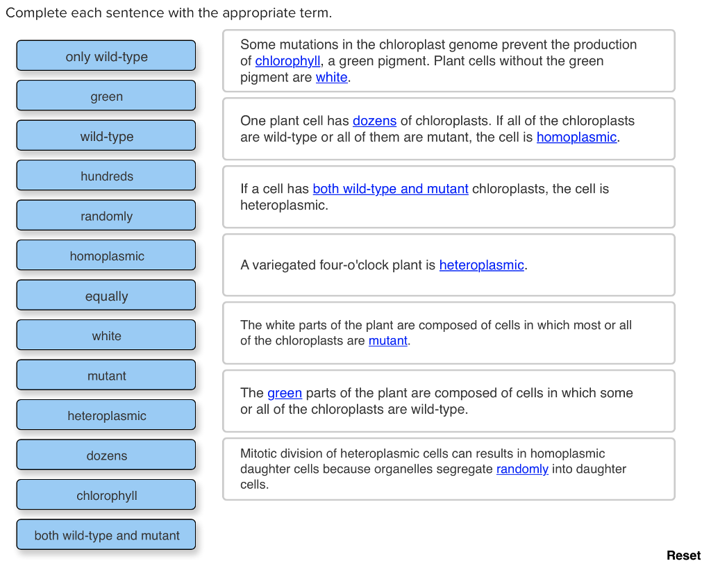 solved-complete-each-sentence-with-the-appropriate-term-some-chegg