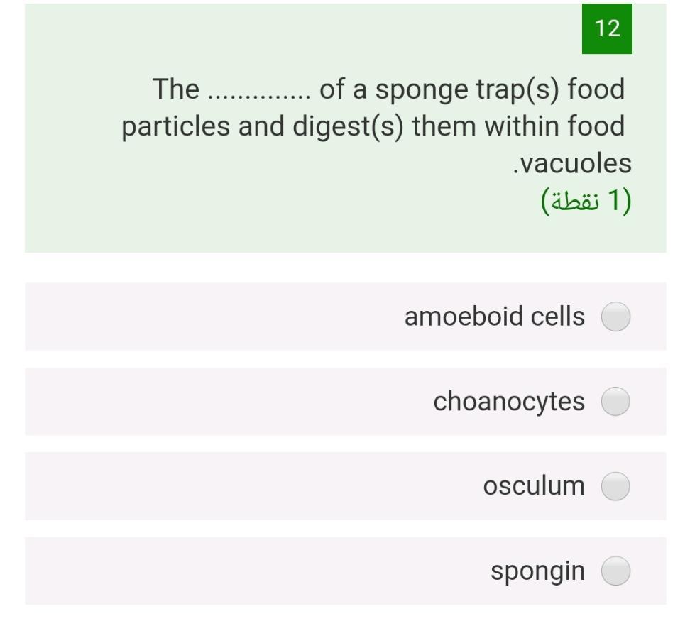 Solved 12 The........... of a sponge trap(s) food