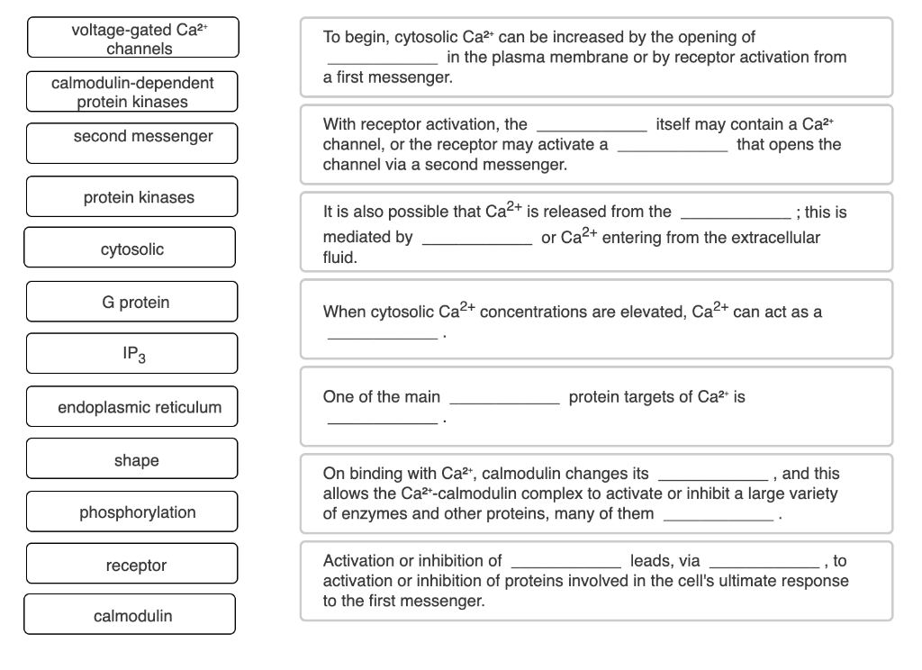 Solved voltage-gated Ca2 channels To begin, cytosolic Cat | Chegg.com