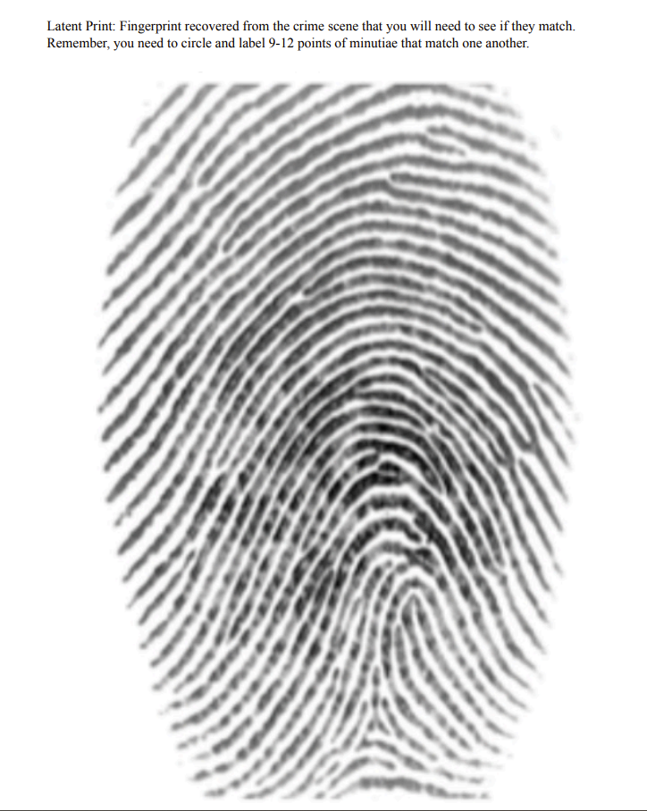 Worksheet 2.2: Identifying Points of Minutiae | Chegg.com