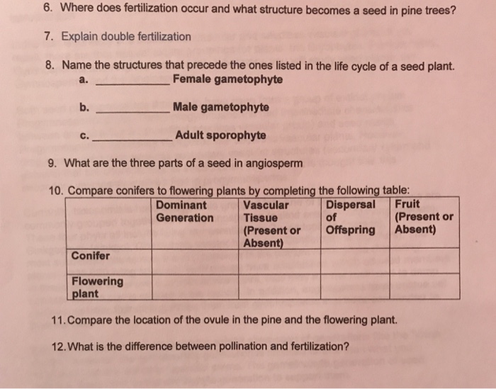 In Which Plants' Life Cycle Does Double Fertilization Occur? Plants BN