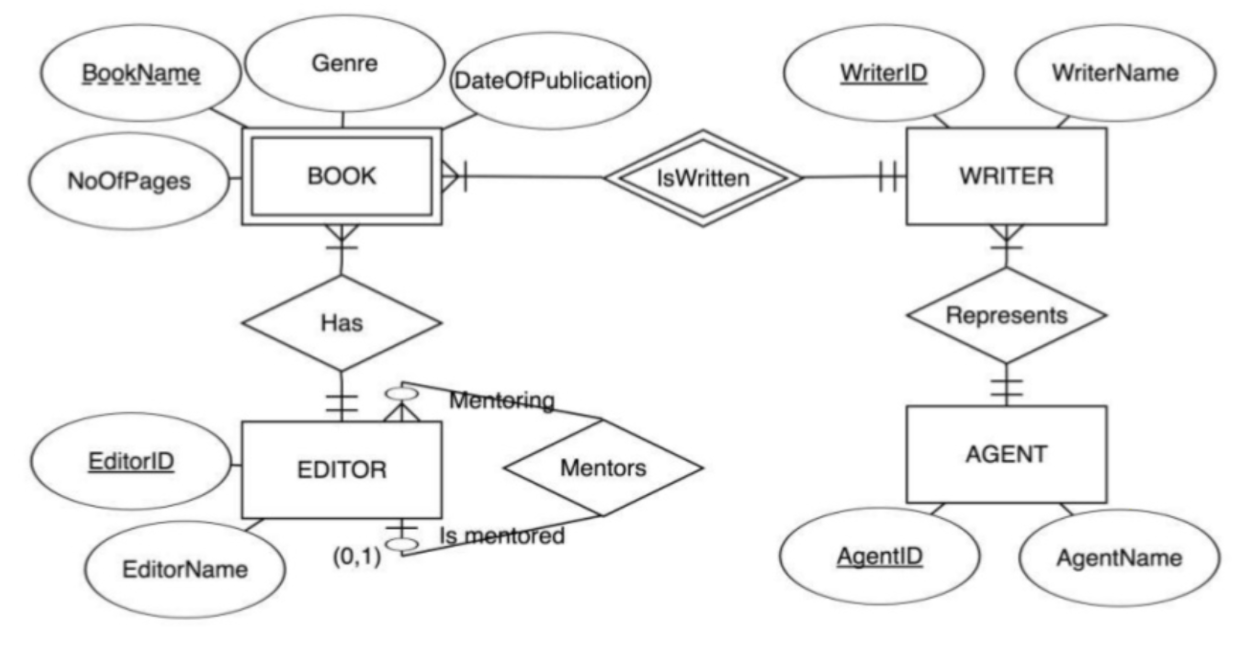 Solved MC4 Signum Libri Map the ER diagram for the Signum | Chegg.com