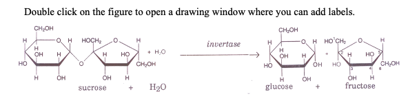 invertase and sucrose experiment