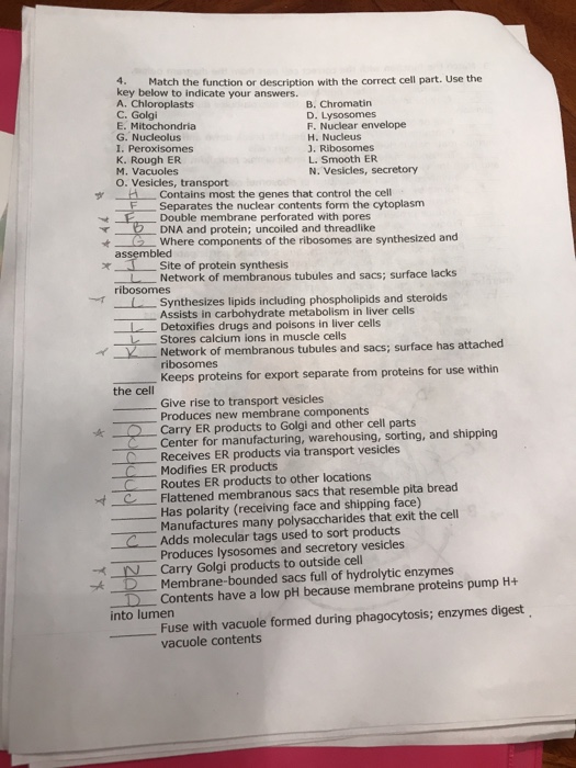 Solved Can someone help me with the rest I’m stuck? & can | Chegg.com