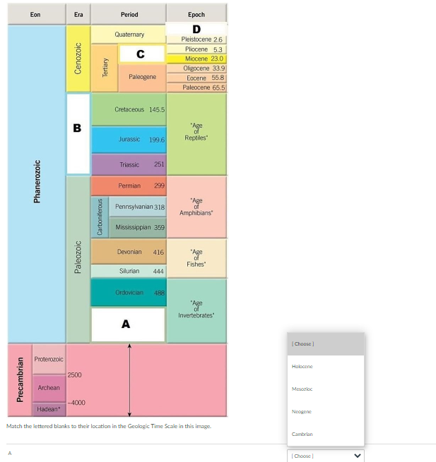 Solved D CE Using the geologic cross section above, put the | Chegg.com