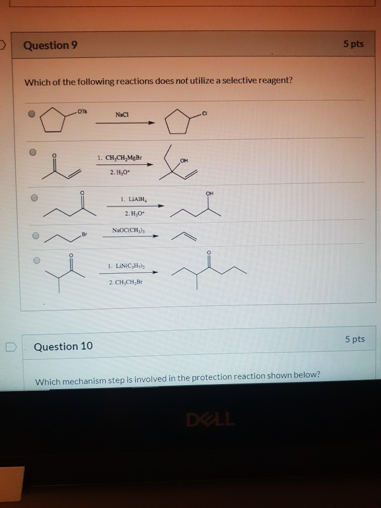 Solved Question 6 5 pts What is the major product for the | Chegg.com