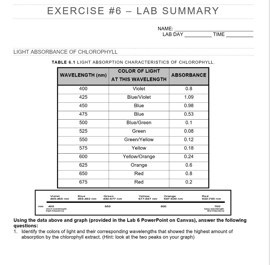 Solved EXERCISE #6 LAB SUMMARY NAME: LAB DAY TIME LIGHT | Chegg.com