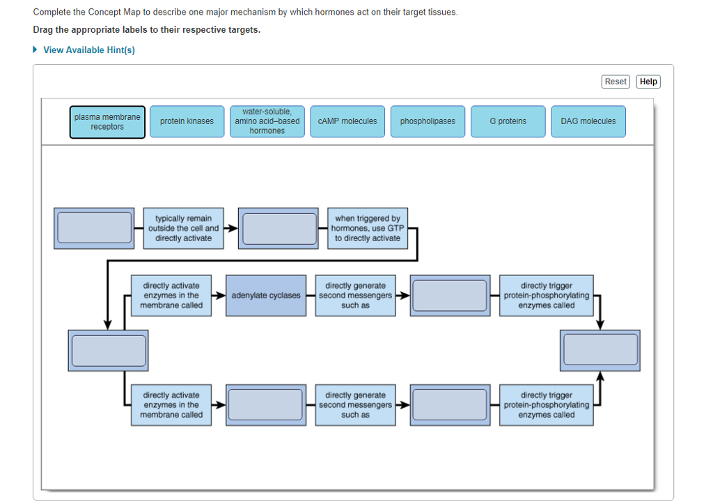 Concept Map Feedback Mechanisms