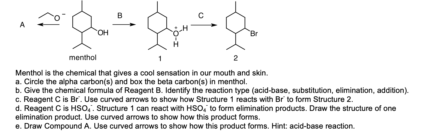 Solved B А ОН Br H menthol 1 2 Menthol is the chemical that | Chegg.com