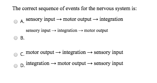 Solved The correct sequence of events for the nervous system | Chegg.com