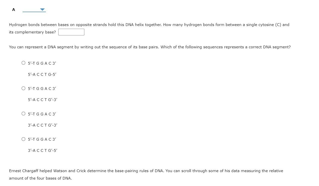 the-structure-and-function-of-different-types-of-dnas-which-are