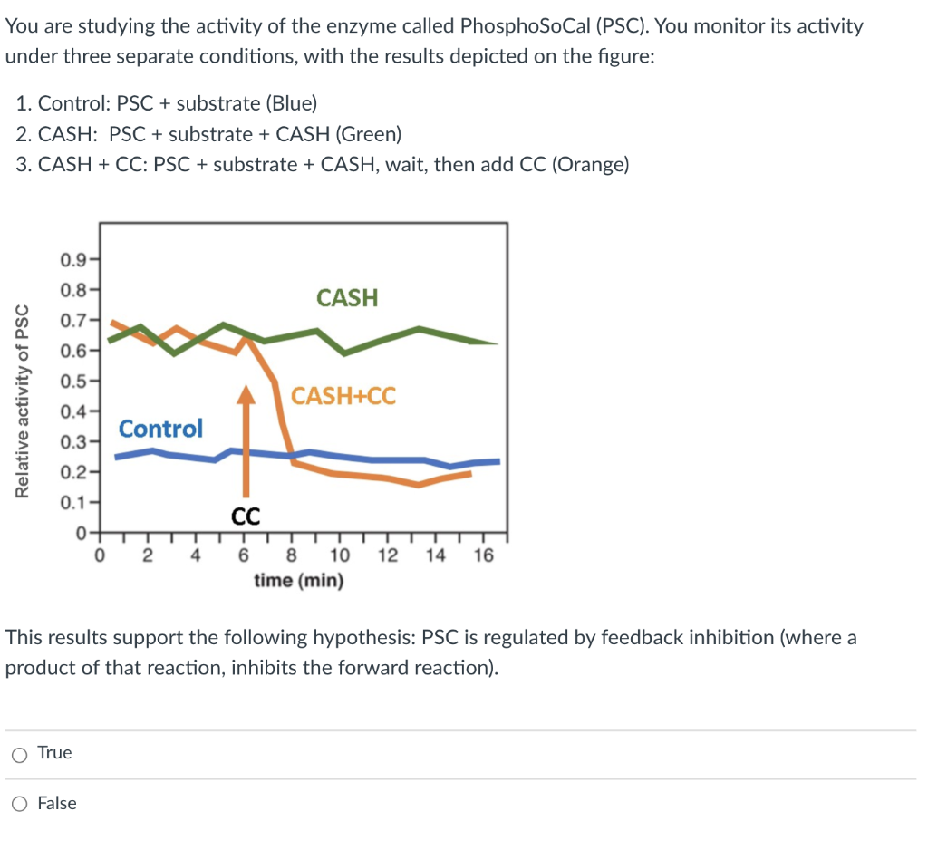 Solved You are studying the activity of the enzyme called