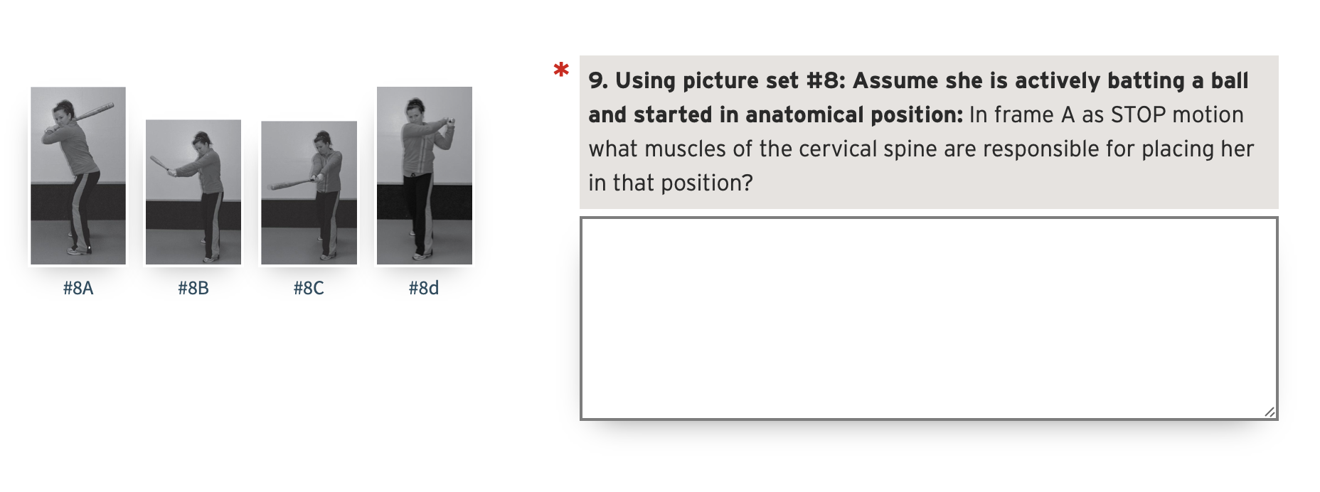 Solved 9. Using picture set #8: Assume she is actively | Chegg.com